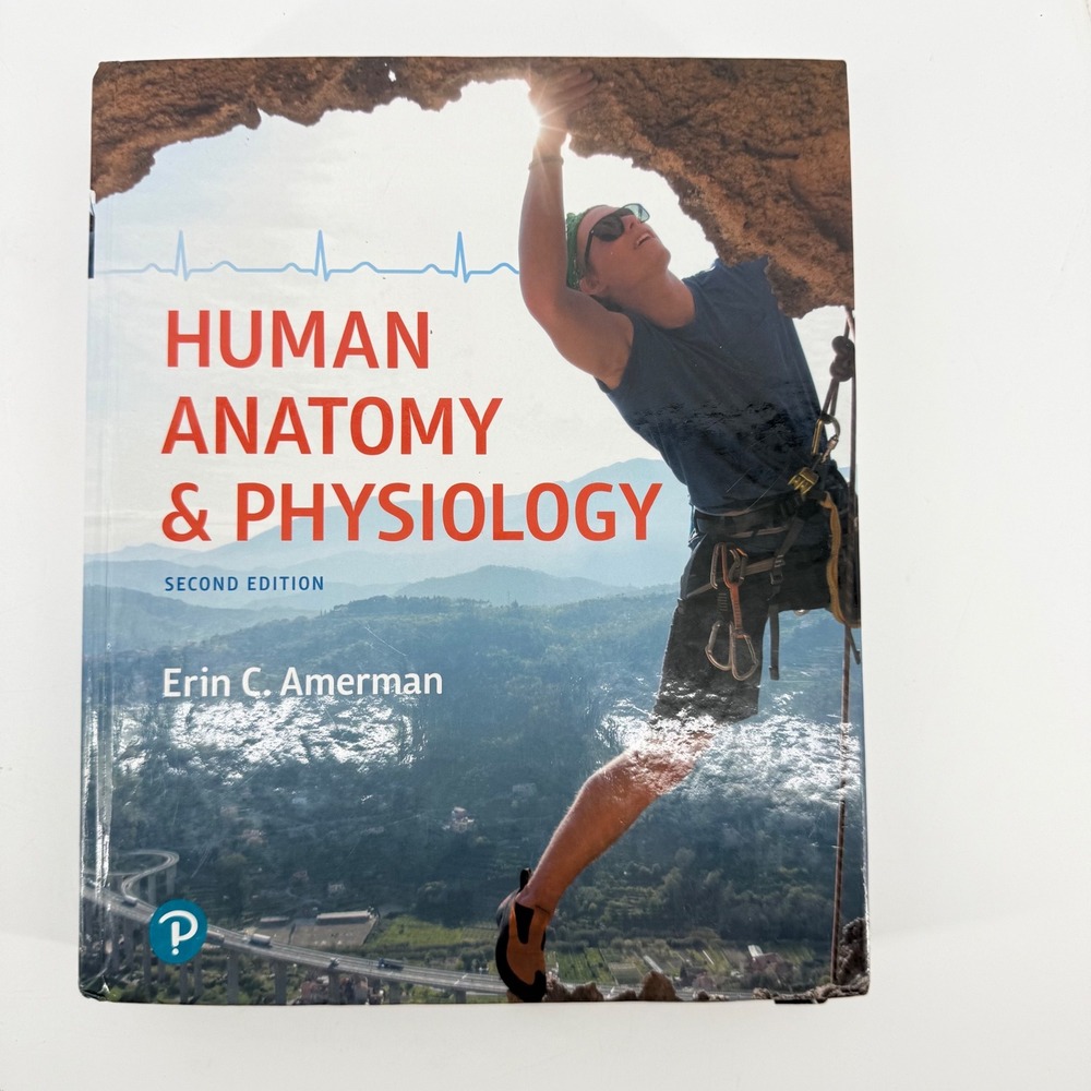 Human Anatomy & Physiology 2nd Edition Erin C Amerman Pearson Textbook Hardcover